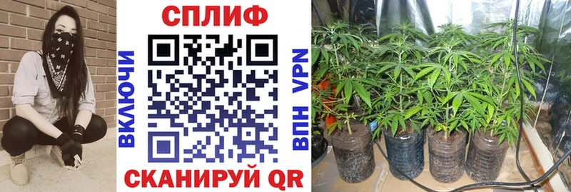 Наркошоп купить Кокаин  APVP  АМФЕТАМИН  Метадон  ГАШИШ  МЕФ  Рыбинск