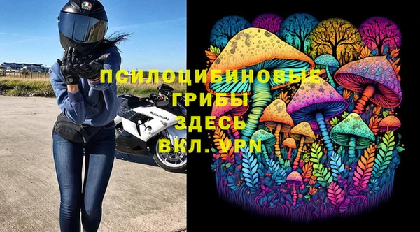 мдма Няндома